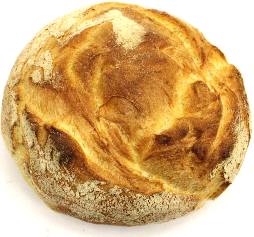 ALTAMURA