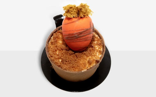 [EM046] PASTE CARROT CAKE